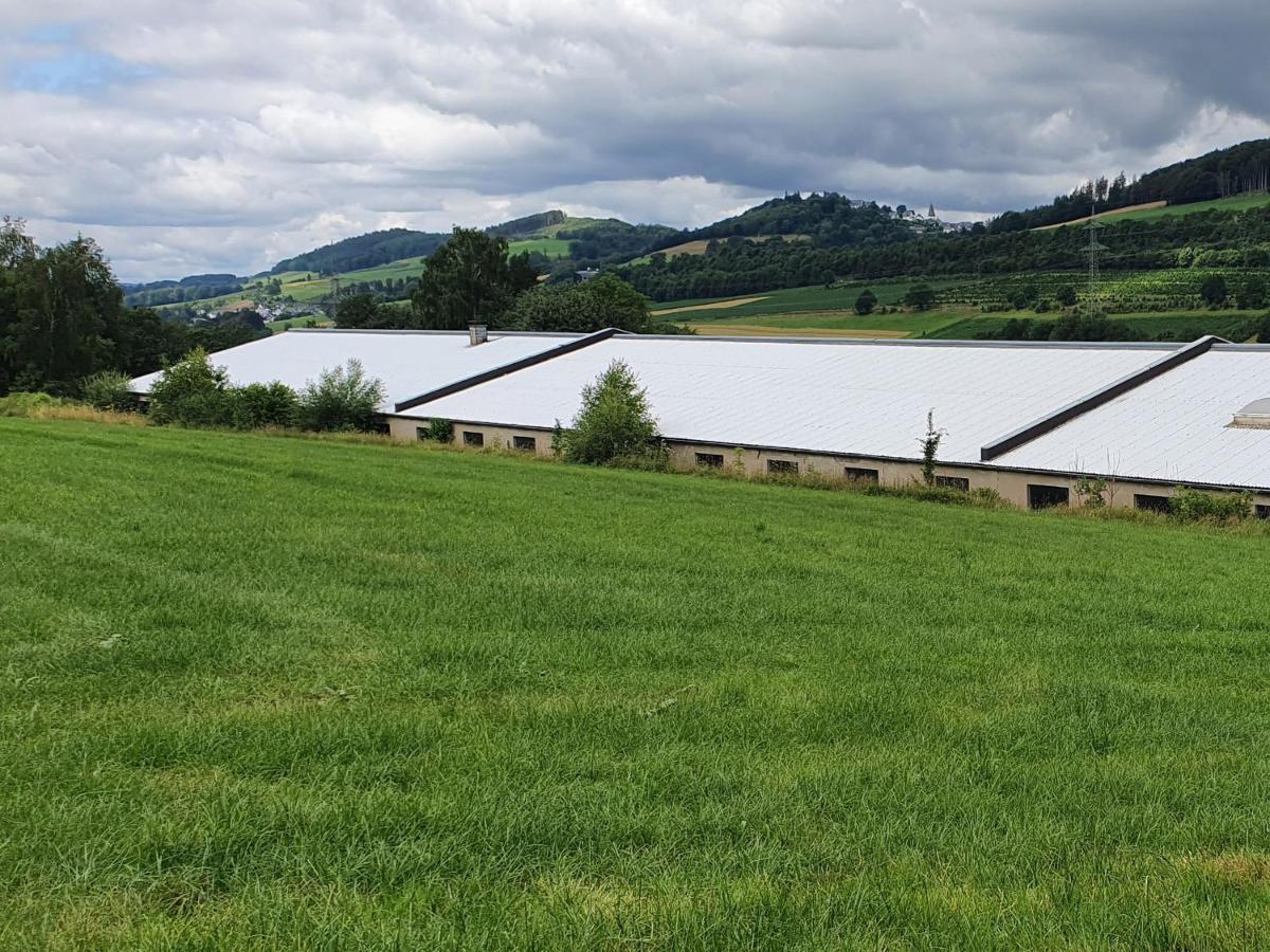 Ferienwohnungen Am Finkenweg Bestwig Buitenkant foto