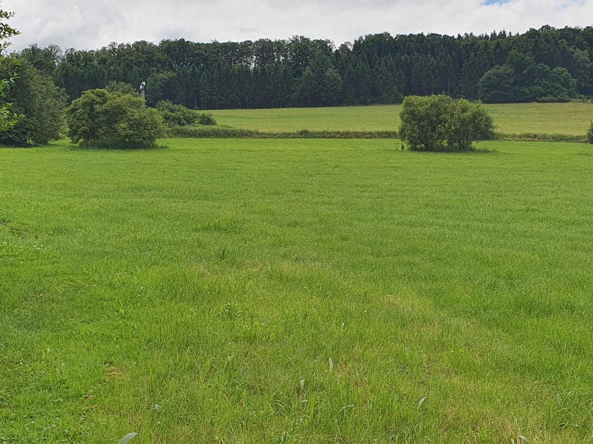 Ferienwohnungen Am Finkenweg Bestwig Buitenkant foto